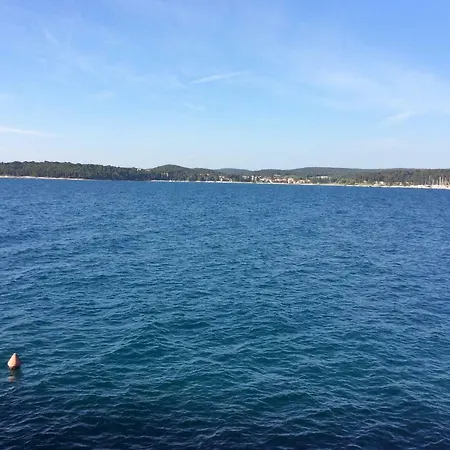 Svalbe * Rovinj