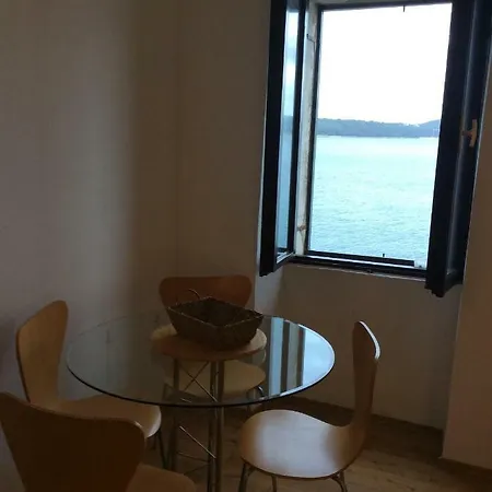 Svalbe Rovinj